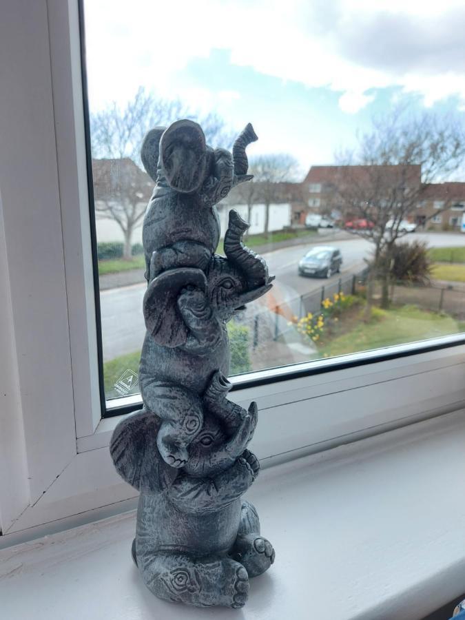 Teddy Bears' 3-Bedroom Maisonette Saltcoats Exteriér fotografie